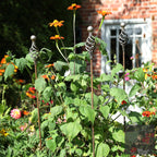 Bespoke Individual Plant Support Stakes | 28 Designs | Norfolk-Made