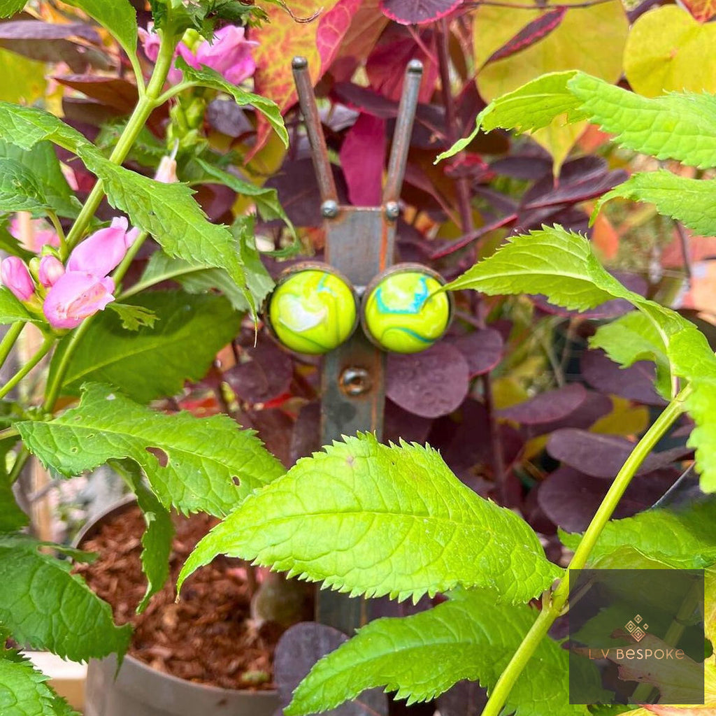 Bespoke Colourful Fun Snail | The Signature Piece"