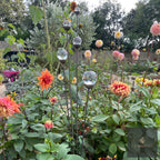 Bespoke Cluster of 5 Tall Glass Garden Feature | 1150mm Steel Stake