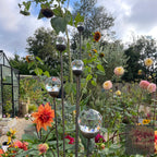 Bespoke Cluster of 5 Tall Glass Garden Feature | 1150mm Steel Stake