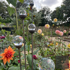 Bespoke Cluster of 5 Tall Glass Garden Feature | 1150mm Steel Stake