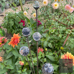 Bespoke Cluster of 5 Tall Glass Garden Feature | 1150mm Steel Stake