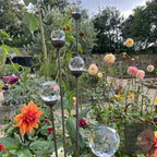 Bespoke Cluster of 5 Tall Glass Garden Feature | 1150mm Steel Stake