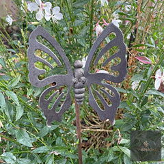 Short / Butterfly 1