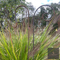 Shepherds Crook Hanger