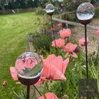 Bespoke Glass-Topped Garden Stake | 4 Sizes, 4 Finishes