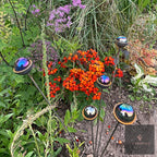 Bespoke Cluster of 5 Colourful Marbles | Splayable Garden Stake
