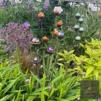 Bespoke Cluster of 5 Colourful Marbles | Splayable Garden Stake