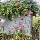 Bespoke Cluster of 5 Cups or Balls | Norfolk Steel Garden Feature
