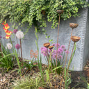 Bespoke Cluster of 5 Cups or Balls | Norfolk Steel Garden Feature