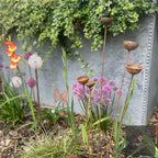 Bespoke Cluster of 5 Cups or Balls | Norfolk Steel Garden Feature