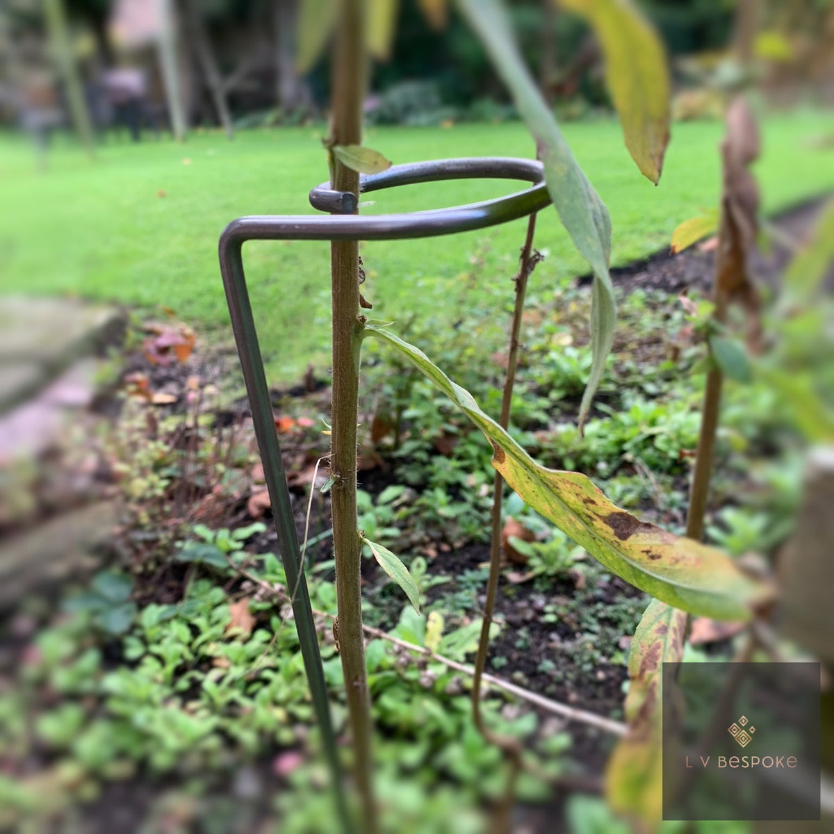 Single Stem Plant Support