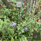 Cluster of 3 Glass Garden Feature