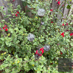 Cluster of 3 Glass Garden Feature
