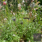 Cluster of 3 Glass Garden Feature