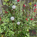 Cluster of 3 Glass Garden Feature