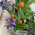 Mixed Coloured Glass Orb, Cluster of 3 - Short