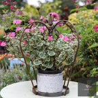 Bespoke Decorative Crown Garden Feature | Norfolk Steel