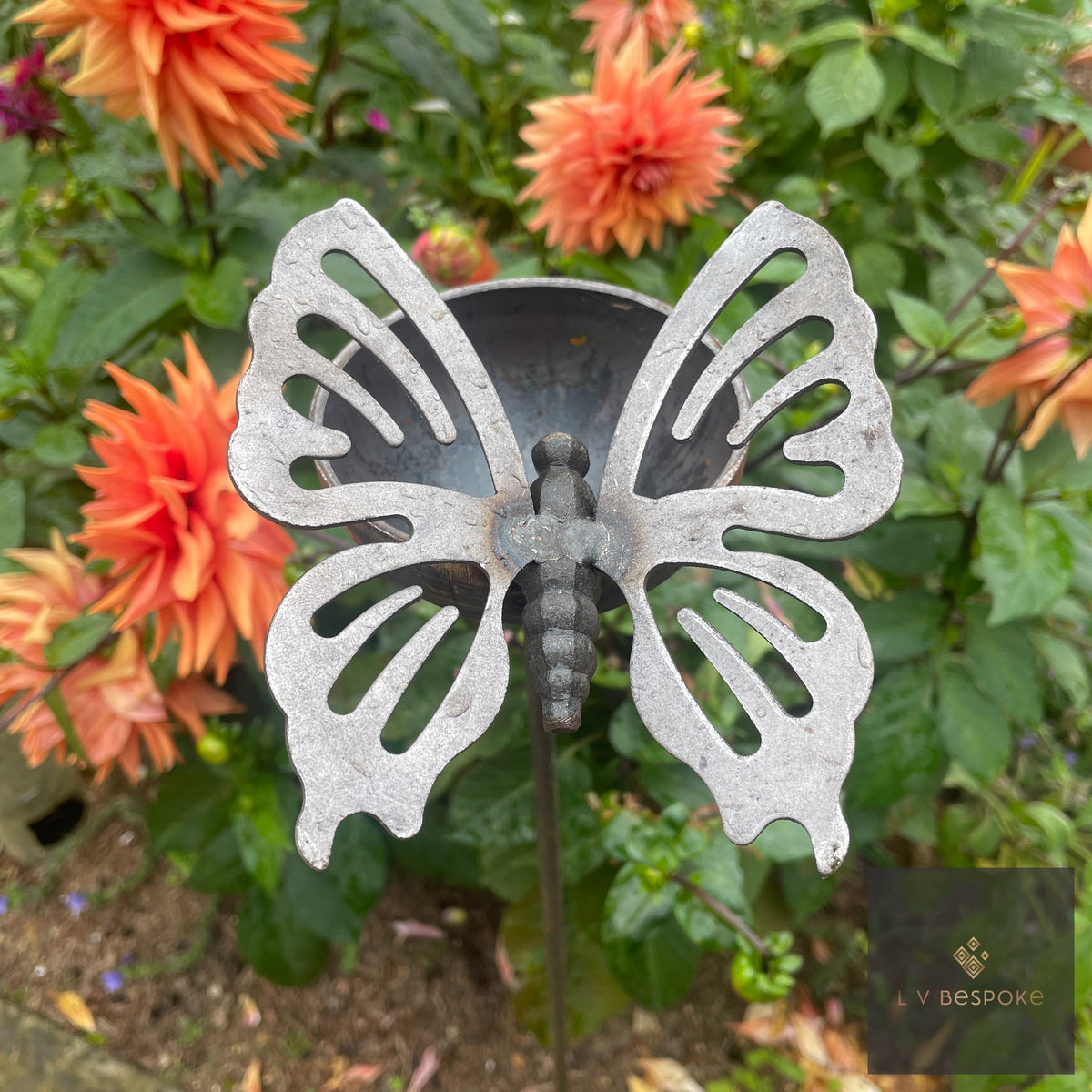 Decorative Bee Drinker & Garden Cuppy | 11 Designs