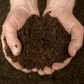 A close-up of two hands holding Dandy's Topsoil & Landscape Supplies' Topsoil Welsh VegeGrow® for vegetables, with more topsoil visible in the background.