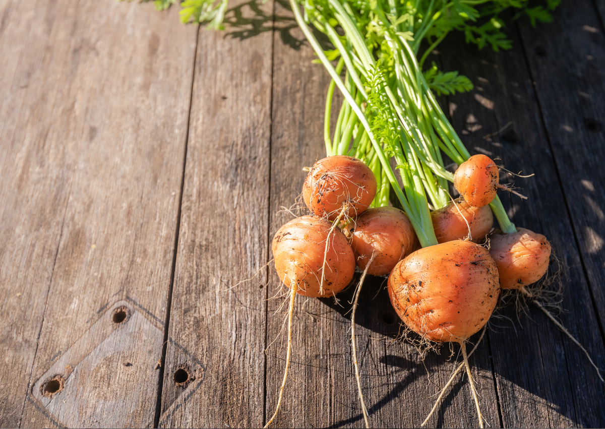 Carrot Paris Market