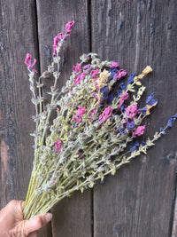Dried Clary Sage | Salvia sclarea | Norfolk Cottage Garden