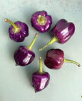 Purple Pumpkin Chilli