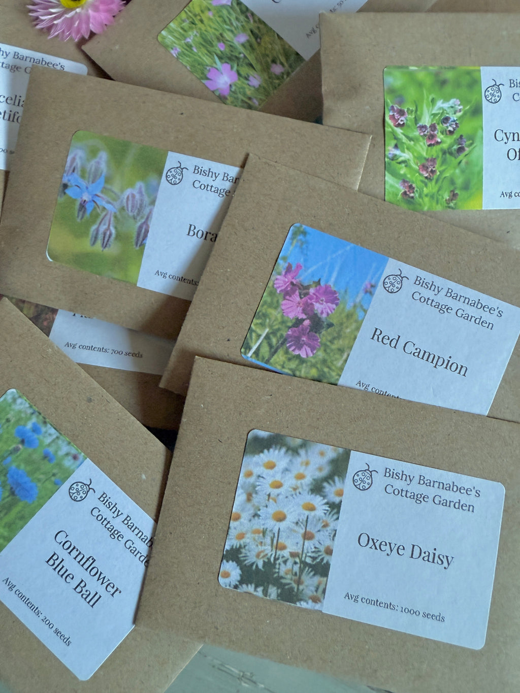 Several brown seed packets from The Wildflower Seed Box by Bishy Barnabees Cottage Garden Ltd are scattered, each labeled with plant names and floral images, including Red Campion and Cornflower Blue Ball.