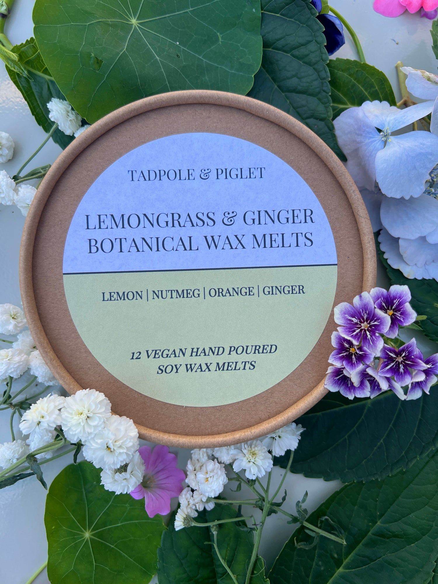 Lemongrass &amp; Ginger Botanical Wax Melts packaging featuring natural elements and floral background.
