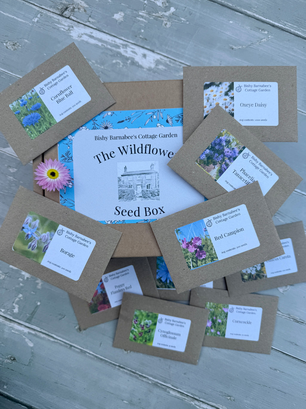 Brown seed packets with wildflower names and photos surround The Wildflower Seed Box by Bishy Barnabees Cottage Garden Ltd, perfect for British gardens, displayed on rustic wood with a pink daisy nearby.