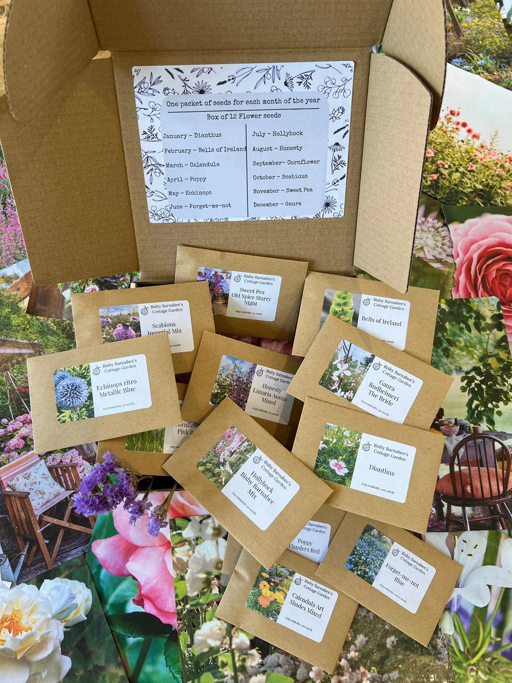 The A Year in a Cottage Garden - Flower Box (12 Packs) by Bishy Barnabees Cottage Garden Ltd features 12 flower seed packets, each with a photo and label, presented on vivid, floral-themed backgrounds—perfect for gifting.
