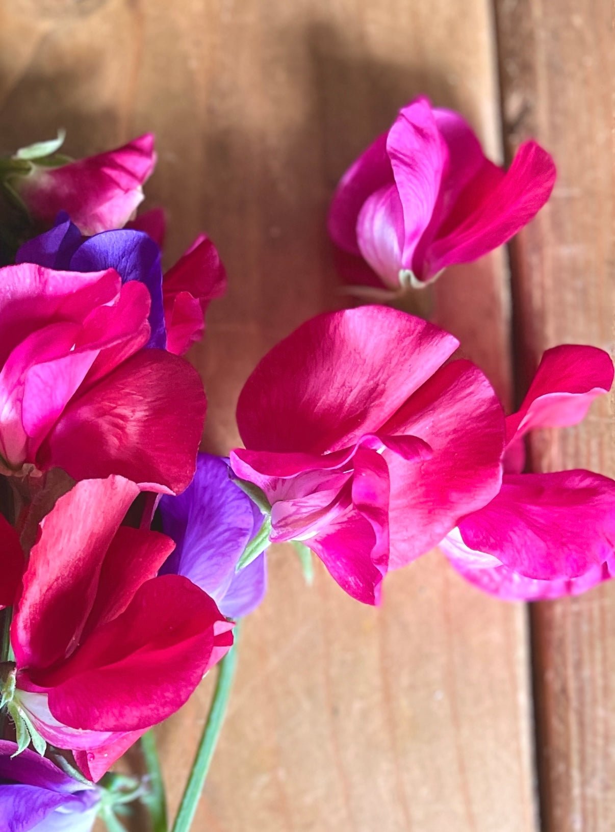 Sweet Pea Parfume Millennium