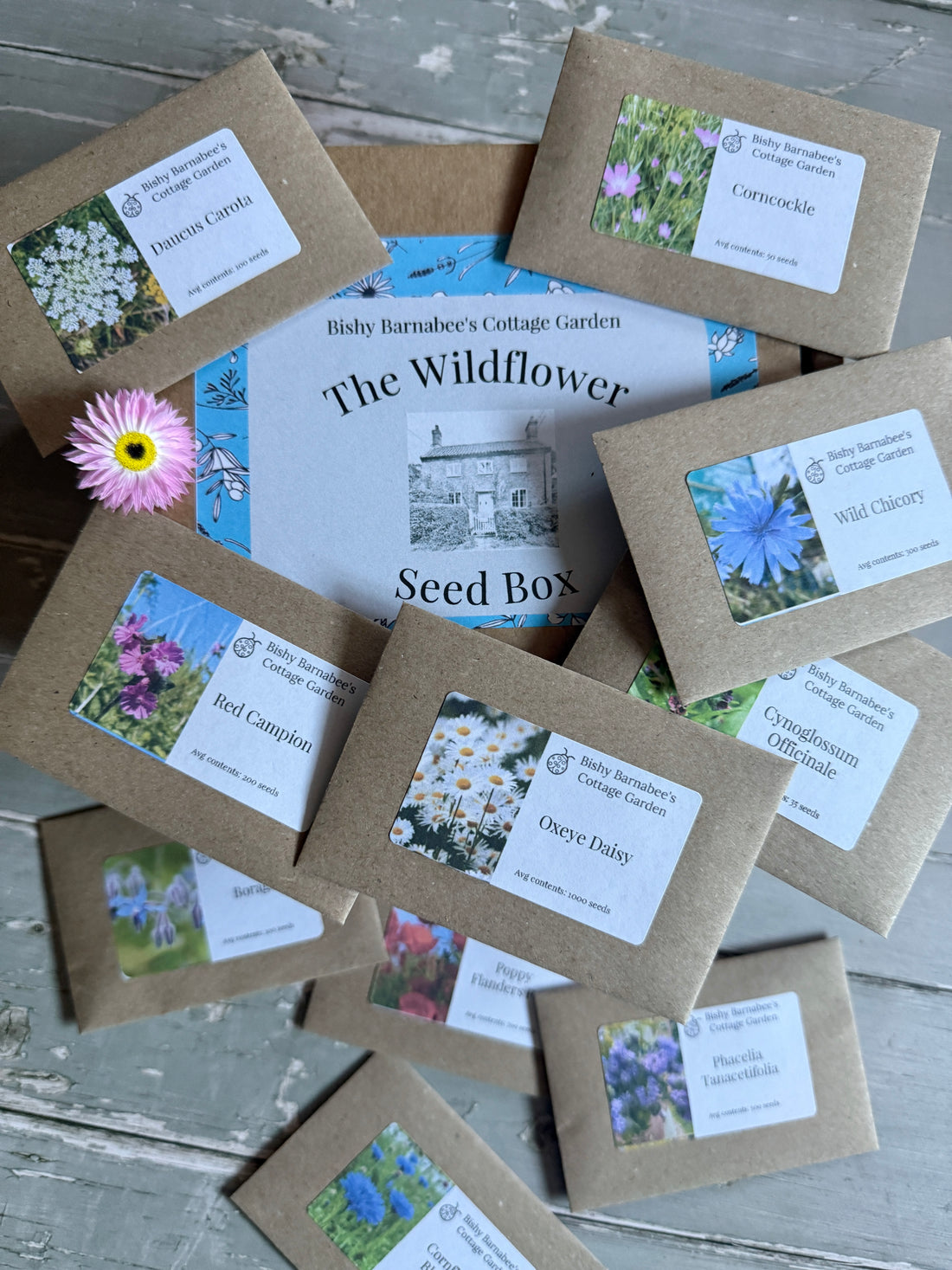 The Wildflower Seed Box