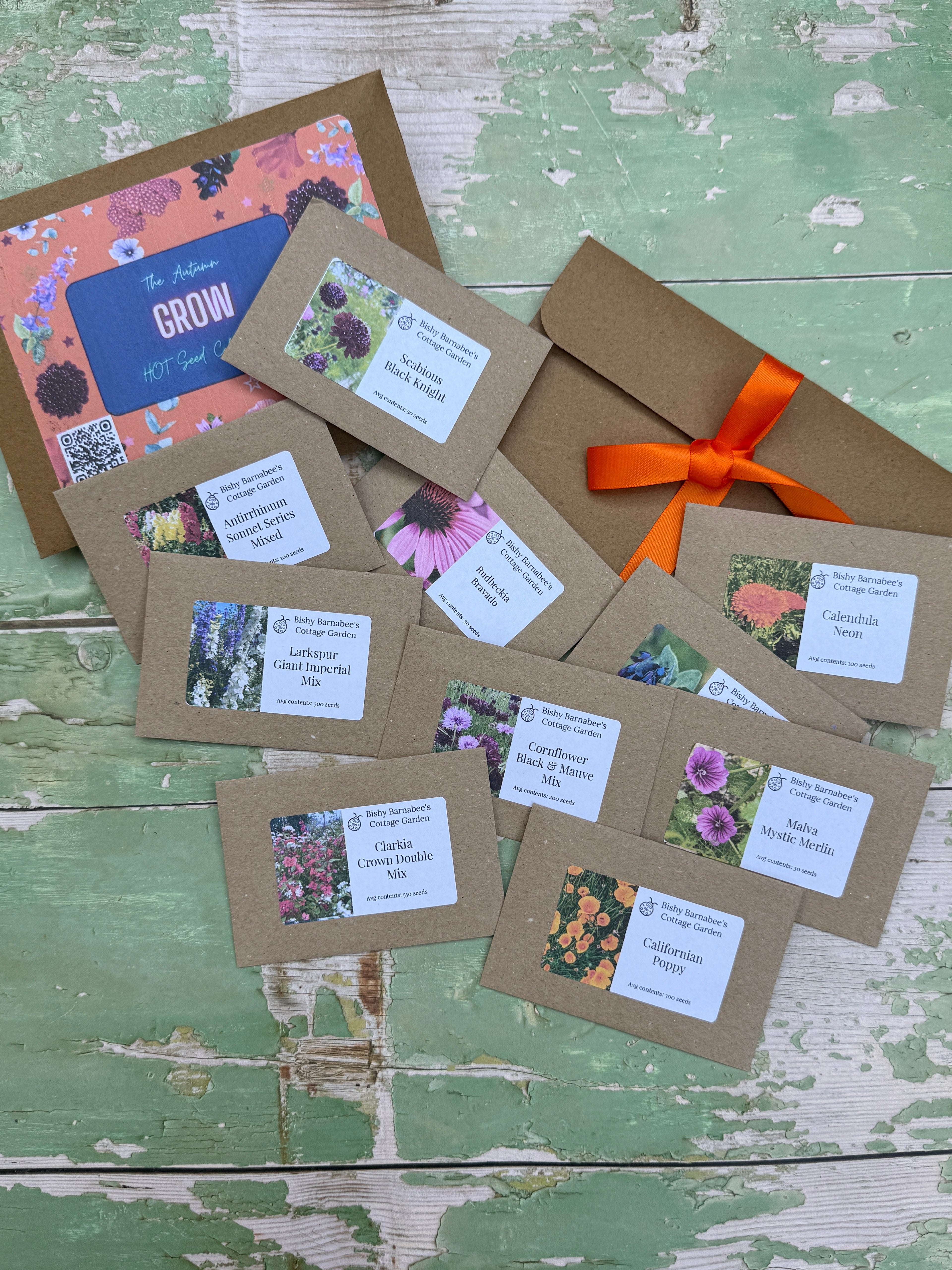 The Autumn Hot Seed Collection