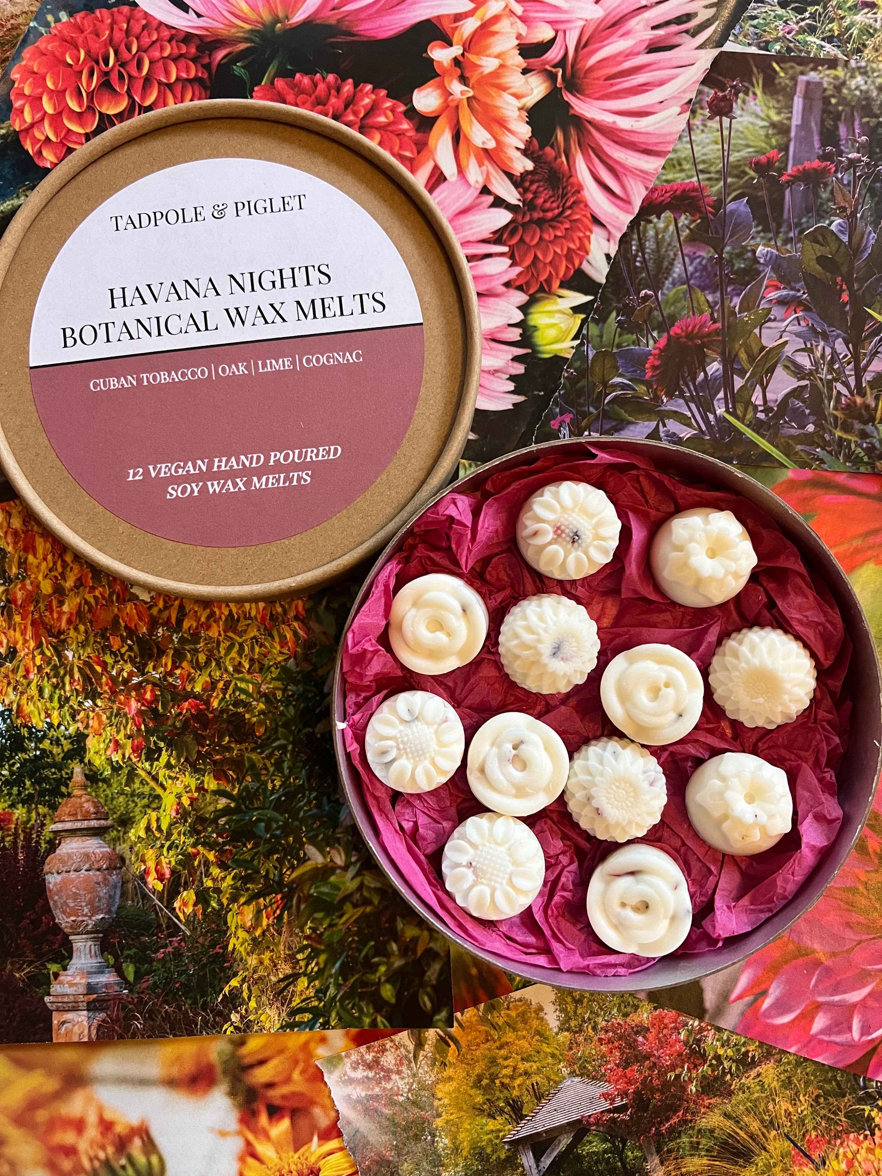 Havana Nights Botanical Wax Melts in a box, featuring vegan soy melts with scents of Cuban tobacco, oak, and lime.