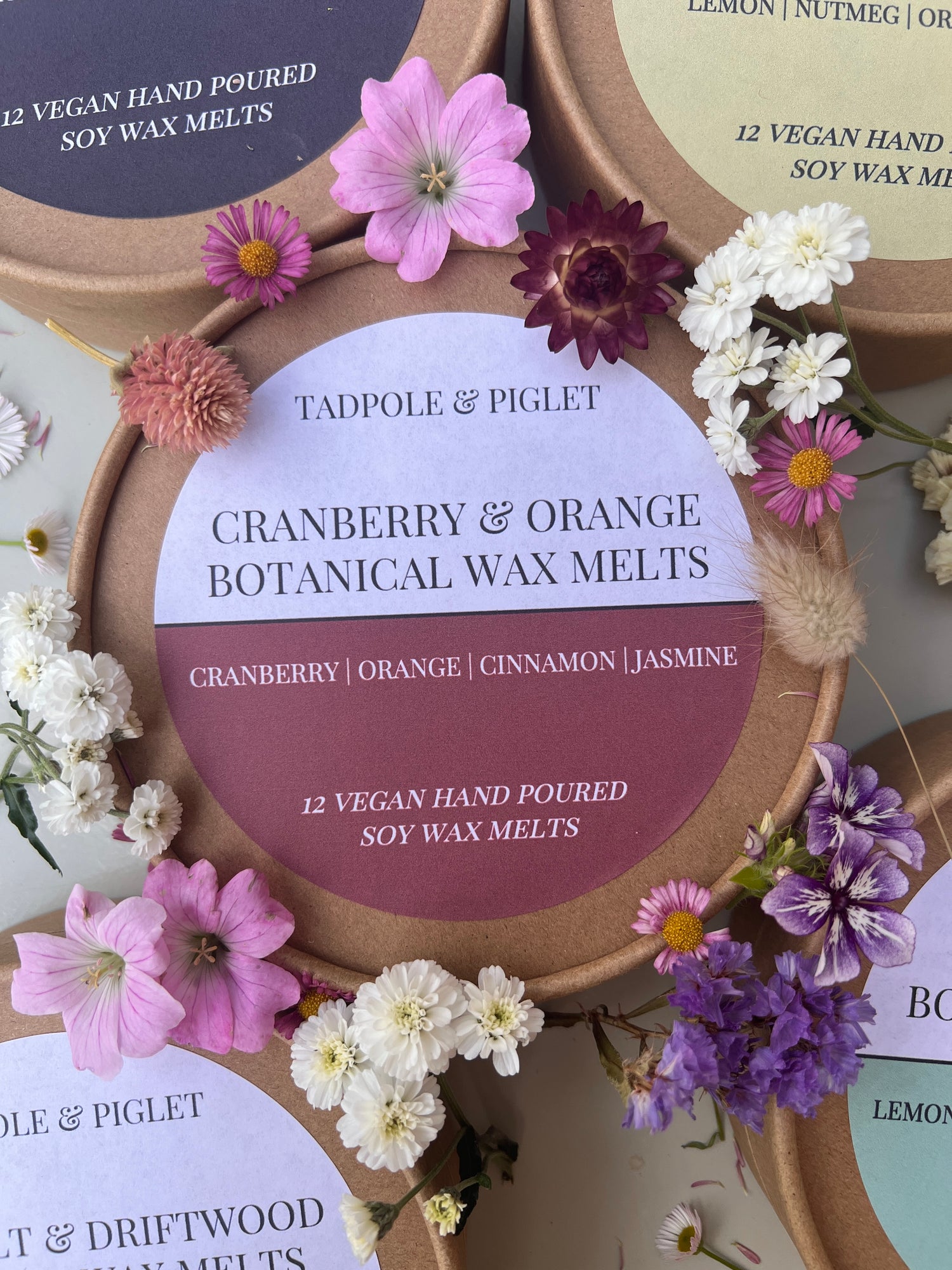 Cranberry &amp; Orange Botanical Wax Melts surrounded by colorful flowers and other scented wax melts in eco-friendly packaging.