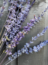Salvia Dried by Bishy Barnabees Cottage Garden features purple-blue blooms displayed on a dark, weathered wood surface, emphasizing the delicate texture and soft color of the flowers.