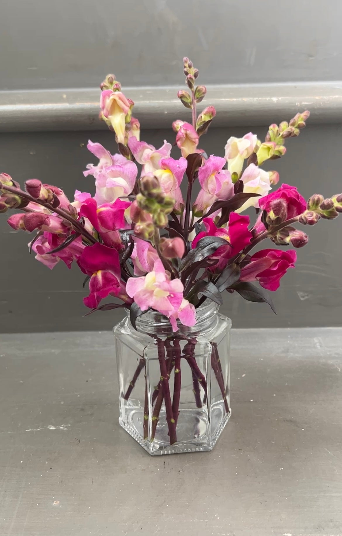 A vibrant bouquet of Antirrhinum flowers in shades of pink and purple arranged in a clear glass vase.
