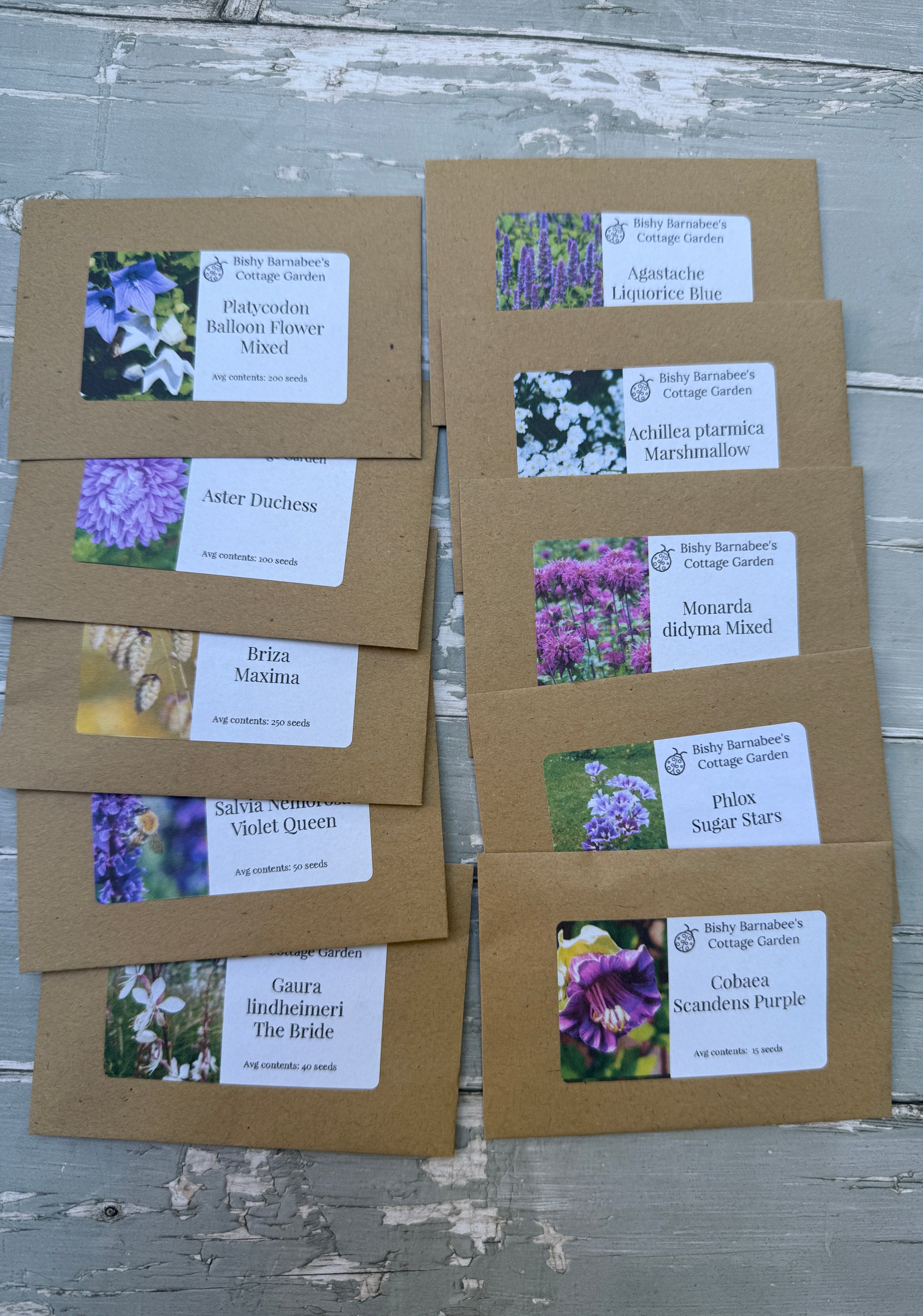 The Winter Seed Collection
