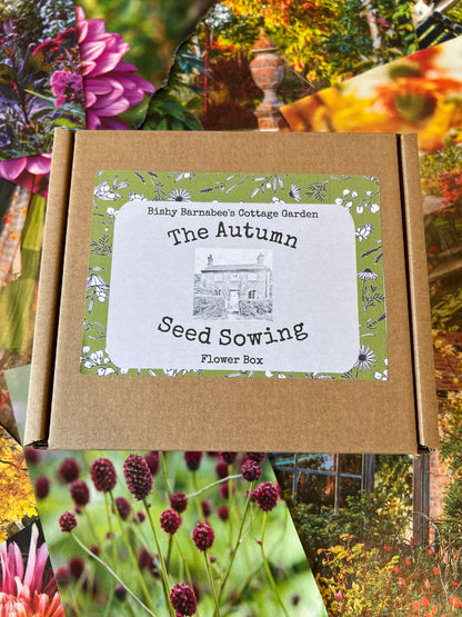 The Autumn Seed Sowing Flower Box