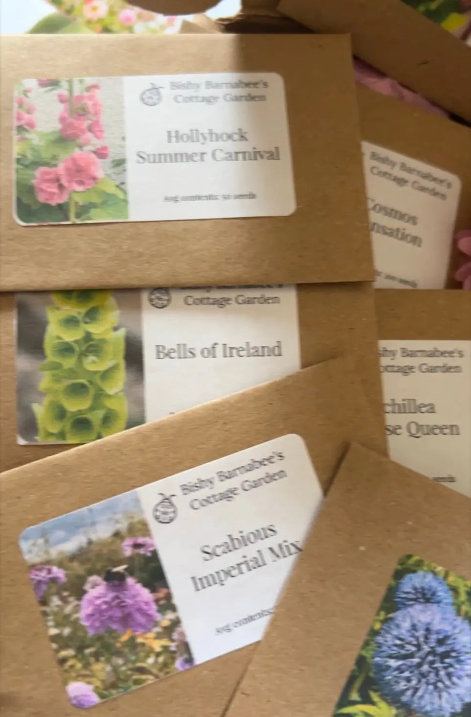 Twelve small seed envelopes from Bishy Barnabees Cottage Garden Ltd’s "A Year in a Cottage Garden - Flower Box" overlap—ideal for your cottage garden seed box or as a unique gardening gift.