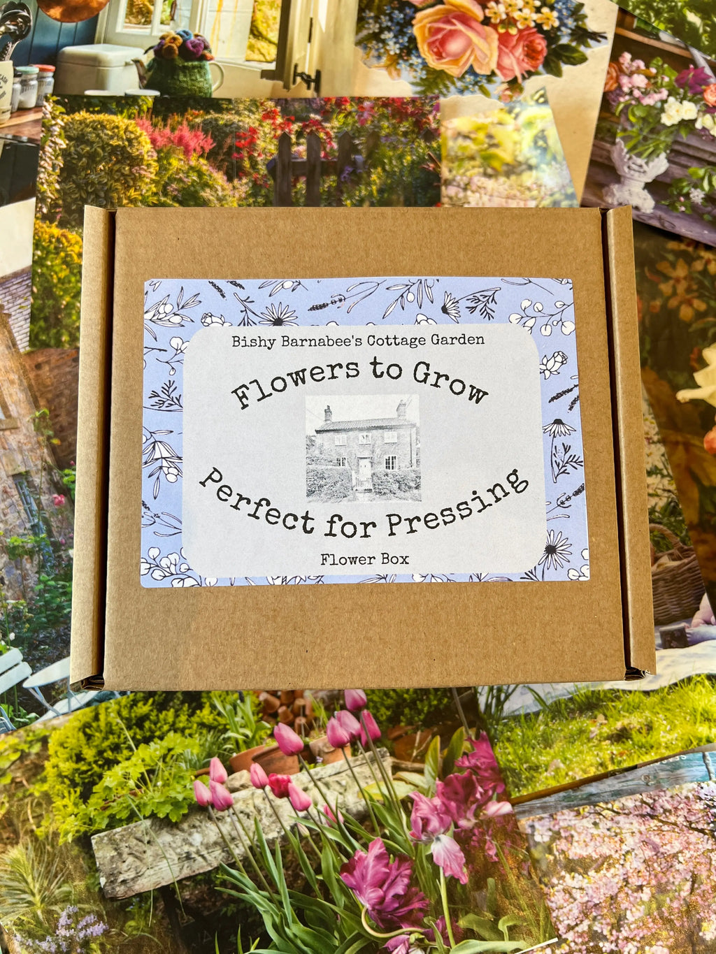 The "Flowers to Grow...Perfect for Pressing" box by Bishy Barnabees Cottage Garden features a vintage floral label, making it ideal for those who love pressed flower art. It’s displayed atop colorful garden photos filled with blooms.