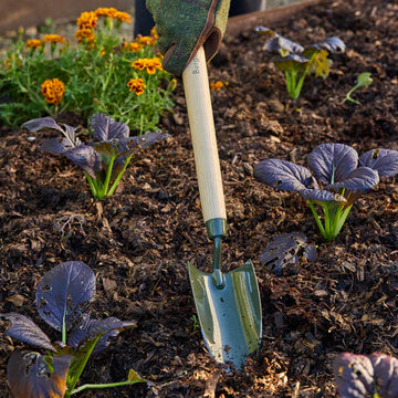 Burgon & Ball RHS BoronGreen Mid-Handled Trowel