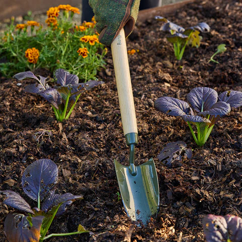 Burgon & Ball RHS BoronGreen Mid-Handled Trowel