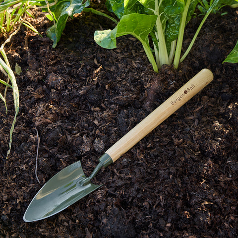 Burgon & Ball RHS BoronGreen Mid-Handled Trowel