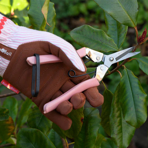 Burgon & Ball Collector Fruit & Flower Snips - Blush Pink
