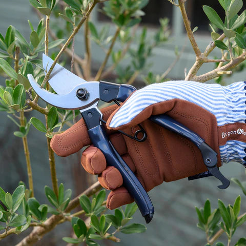 Burgon & Ball RHS Collector Bypass Secateurs - Navy