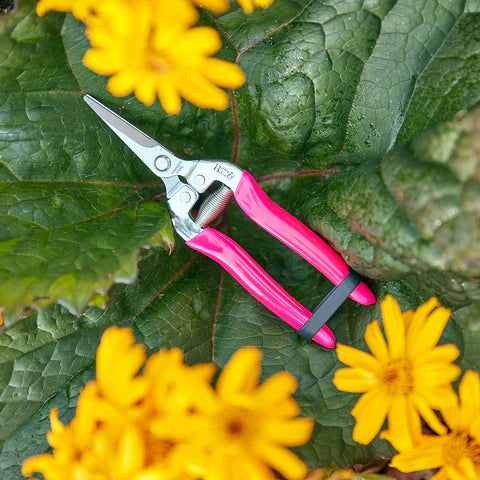 Burgon & Ball FloraBrite® Flower & Fruit Snips