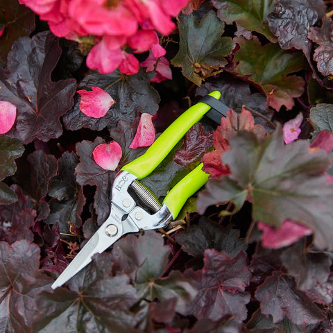 Burgon & Ball FloraBrite® Flower & Fruit Snips
