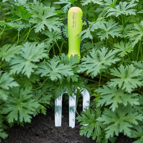 Burgon & Ball FloraBrite® Fluorescent Hand Fork